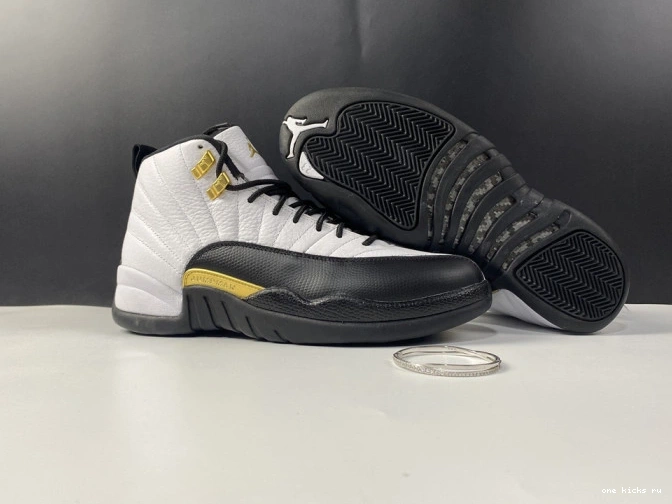 Rep Onekick 12 CT8013-170 Royalty Jordan Air 0811